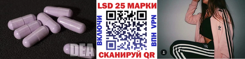 дарк нет как зайти  Светогорск  LSD-25 экстази кислота 