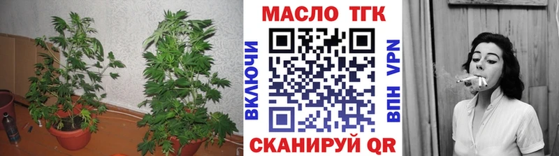 ТГК вейп  как найти закладки  Светогорск 
